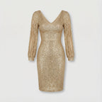 Stella | Shiny Dress